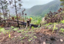 Hay resistencia de pobladores para reforestar, dice organización