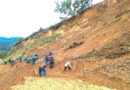 Reportan afectaciones por “Erick” en comunidades indígenas de la Montaña