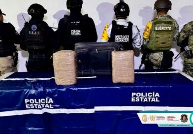 Decomisan paquetes de marihuana en terminal de autobuses de Acapulco