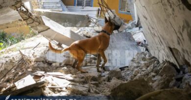 Entrenan a agentes caninos de rescate en casas colapsadas por la falla geológica en Chilpancingo