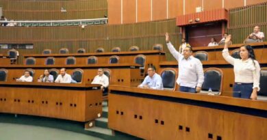 Desecha Comisión Permanente iniciativa para atender la salud de presas