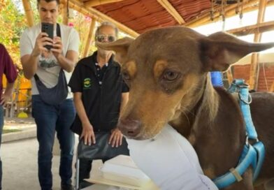 Entrega Félix a Canelo, perrito de familia fallecida en incendio