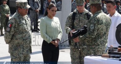 Destruye Sedena en la capital 232 armas decomisadas a organizaciones criminales