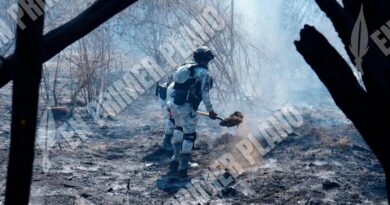 Incendio pone en riesgo viviendas de la zona diamante de Acapulco