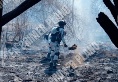 Incendio pone en riesgo viviendas de la zona diamante de Acapulco