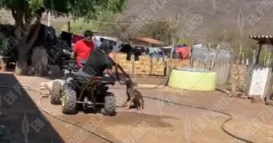 Denuncian asesinato de un perro a balazos con escopeta en Coyuca de Catalán; piden la intervención de las autoridades