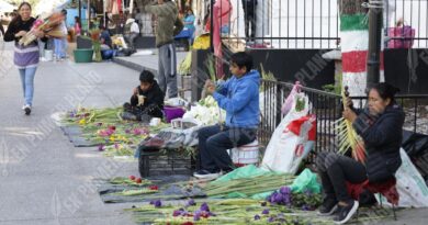 Ofertan artesanos cruces de palmas en el inicio de la Semana Santa