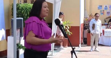 No es necesario marchar ni pintar paredes para exigir derechos de las mujeres, asegura diputada de Guerrero