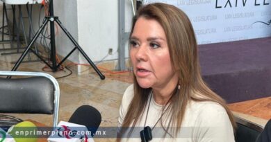 Debería Abelina “ser la más interesada en aclarar el robo” de donativos al DIF de Acapulco: Erika Lührs