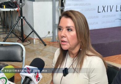 Debería Abelina “ser la más interesada en aclarar el robo” de donativos al DIF de Acapulco: Erika Lührs