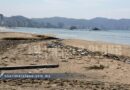 Arrastran lluvias más de 22 toneladas de basura a las playas de Acapulco