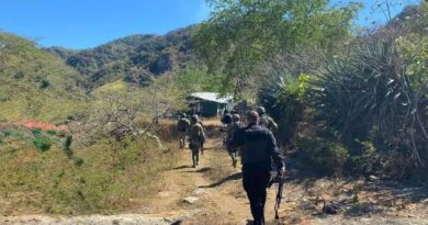 Denuncian ataques con drones y desplazamiento en Carrizal del Pinzón