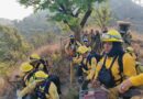 Encabeza Guerrero estados con más incendios forestales activos en el país