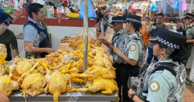 Baja incidencia delictiva en el mercado central de Chilpancingo tras vigilancia, asegura GN