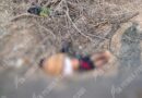 Hallan a un hombre asesinado cerca de la comunidad de La Soledad en Tlapa