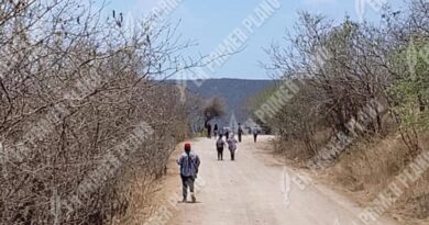 Ante omisión del gobierno, buscan a los 7 desaparecidos de Atenango del Río