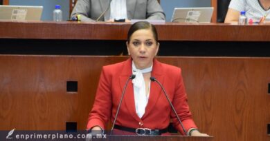 Propone diputada local enseñar en escuelas sobre bienestar animal