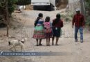 Denuncian ONG’s crisis humanitaria por desplazamiento forzado en la Montaña Baja