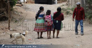 Denuncian ONG’s crisis humanitaria por desplazamiento forzado en la Montaña Baja