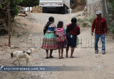 Denuncian ONG’s crisis humanitaria por desplazamiento forzado en la Montaña Baja