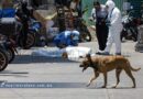 Matan a trabajador de SoniGas atrás del mercado central en Chilpancingo