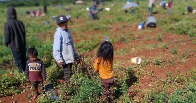 Alerta Tlachinollan por aumento de migración infantil en la Montaña