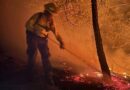 Suman 180 incendios forestales en Guerrero; afectan más de 131 mil hectáreas