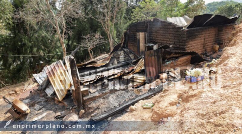 Tula, pueblo fantasma; solo se escuchan los ladridos de perros enmedio de casas quemadas y animales muertos