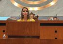 Exhorta Lührs a investigar actos anticipados de campaña rumbo a 2027