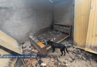 Continúan desplazados de Tula, Xicotlán y Acahuehuetlán refugiados en Alcozacán