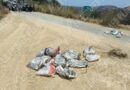 Son seis hombres los desmembrados hallados en Olinalá, confirman autoridades
