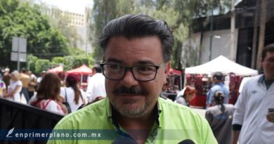 Solo impulsará el PVEM a Karen Castrejón por la gubernatura, asegura Alejandro Carabias