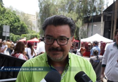 Solo impulsará el PVEM a Karen Castrejón por la gubernatura, asegura Alejandro Carabias