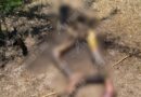 Hallan a un hombre asesinado y en estado de descomposición en Iguala