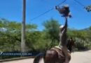 Desata denuncias uso de animales en fiestas tradicionales de Guerrero Desata denuncias uso de animales en fiestas tradicionales de Guerrero