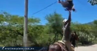 Desata denuncias uso de animales en fiestas tradicionales de Guerrero