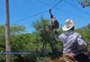 Investiga la Propaeg casos de presunto maltrato animal en Apango