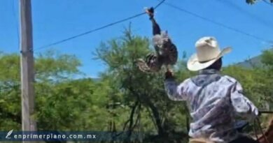 Investiga la Propaeg casos de presunto maltrato animal en Apango Investiga la Propaeg casos de presunto maltrato animal en Apango