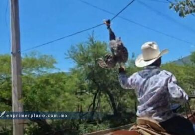 Investiga la Propaeg casos de presunto maltrato animal en Apango Investiga la Propaeg casos de presunto maltrato animal en Apango