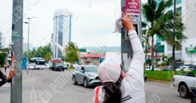 Retira colectiva propaganda que estaba sobre fichas de búsqueda en la Costera de Acapulco Retira colectiva propaganda que estaba sobre fichas de búsqueda en la Costera de Acapulco