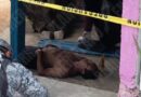 Muere hombre en la carretera México-Acapulco luego de deambular por varias horas Muere hombre en la carretera México-Acapulco luego de deambular por varias horas