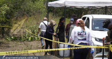 Hallan más de 200 fragmentos óseos en un predio del poblado El Arenal en Acapulco
