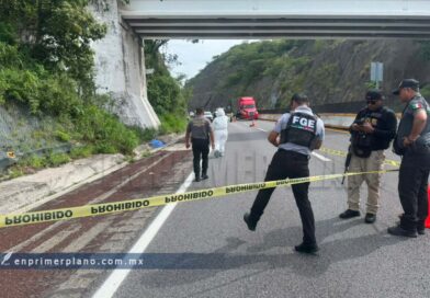 Hallan muerto a un hombre a orilla de la Autopista del Sol