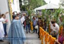 El maíz podría costar el doble de su precio por la sequía, prevén campesinos de Chilpancingo