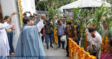 El maíz podría costar el doble de su precio por la sequía, prevén campesinos de Chilpancingo