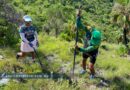 Reforestan el fin de semana una hectárea y media en la colonia Sentimientos de la Nación en Chilpancingo