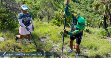 Reforestan el fin de semana una hectárea y media en la colonia Sentimientos de la Nación en Chilpancingo