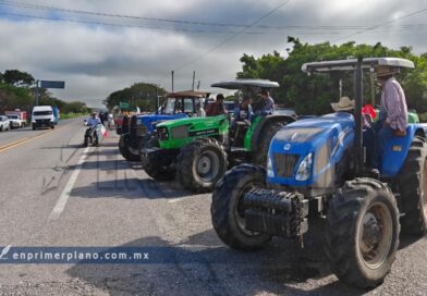 Exigen productores declaratoria de emergencia y plan emergente ante pérdida de siembras por sequía