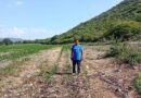Convocan a concentración de productores en Iguala afectados por la sequía Convocan a concentración de productores en Iguala afectados por la sequía