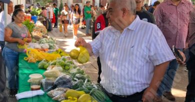 Se “magnifican” los ataques en El Fresno y Jaleaca, afirma el alcalde de Chilpancingo Se “magnifican” los ataques en El Fresno y Jaleaca, afirma el alcalde de Chilpancingo
